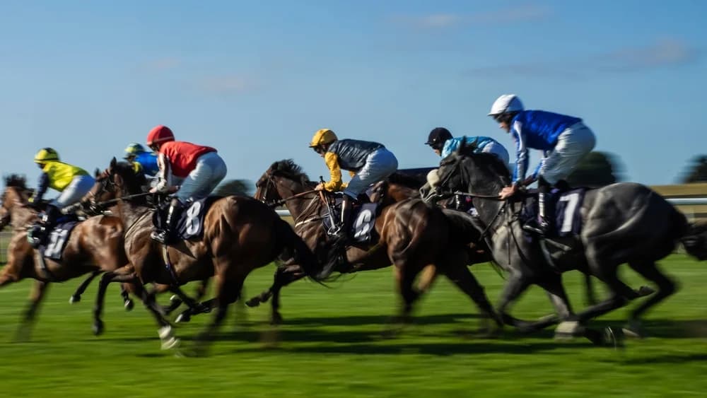 British MPs Warn Affordability Checks Could Cost Racing £250 Million and Fuel Black Market - Regulatory iGaming news