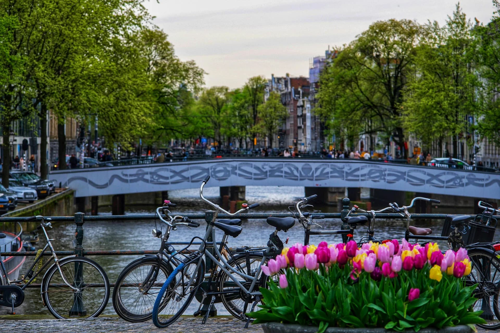 Dutch Councillor Calls for Online Gambling Age to Be Raised to 24 - Regulatory news