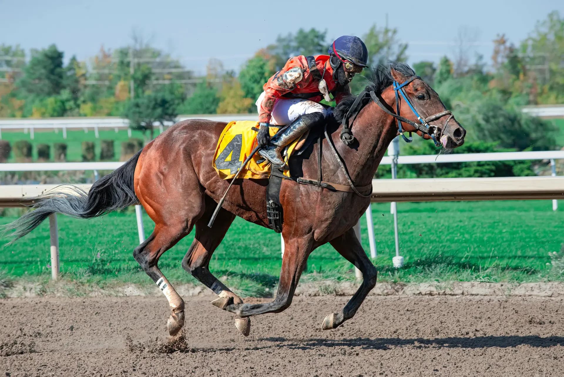 British Horseracing to Strike on September 10 in Protest of Proposed Tax Hikes - Sports Betting iGaming news