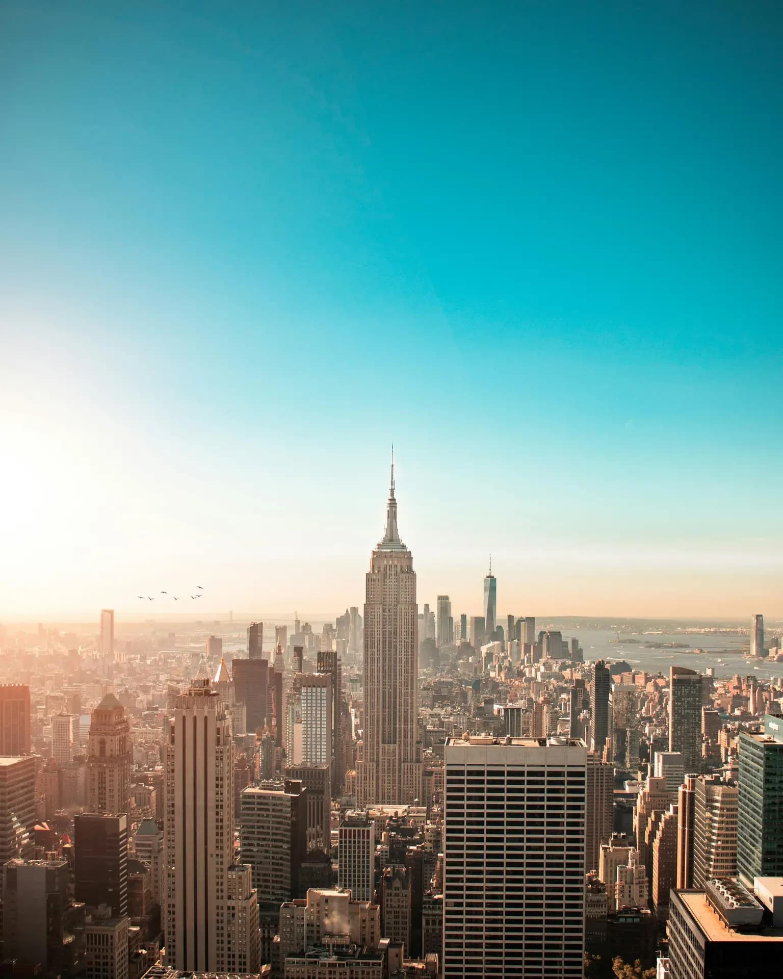 Empire State Strikes Back: NY AG Halts 26 Online Sweepstakes Casinos - Corporate iGaming news