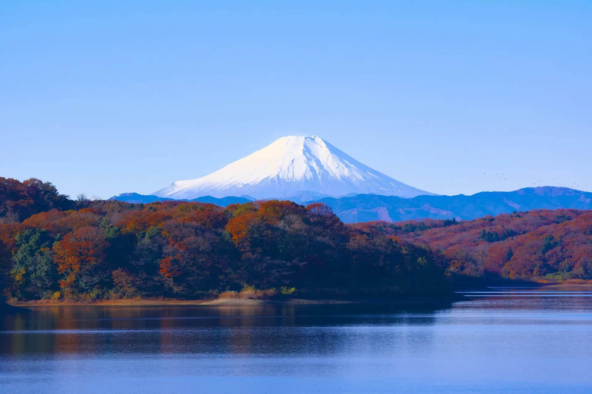 New Japan PM Takaichi Prioritises Japan IR Policy Rollout - Corporate iGaming news